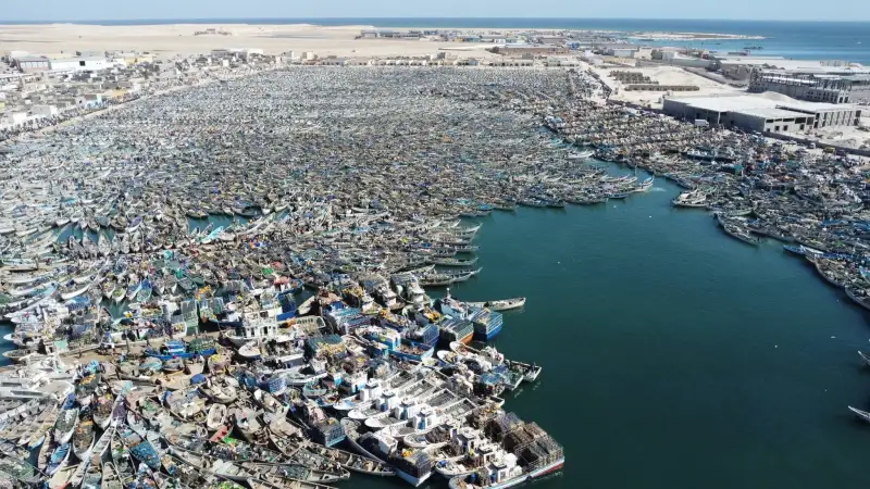 حوض الميناء